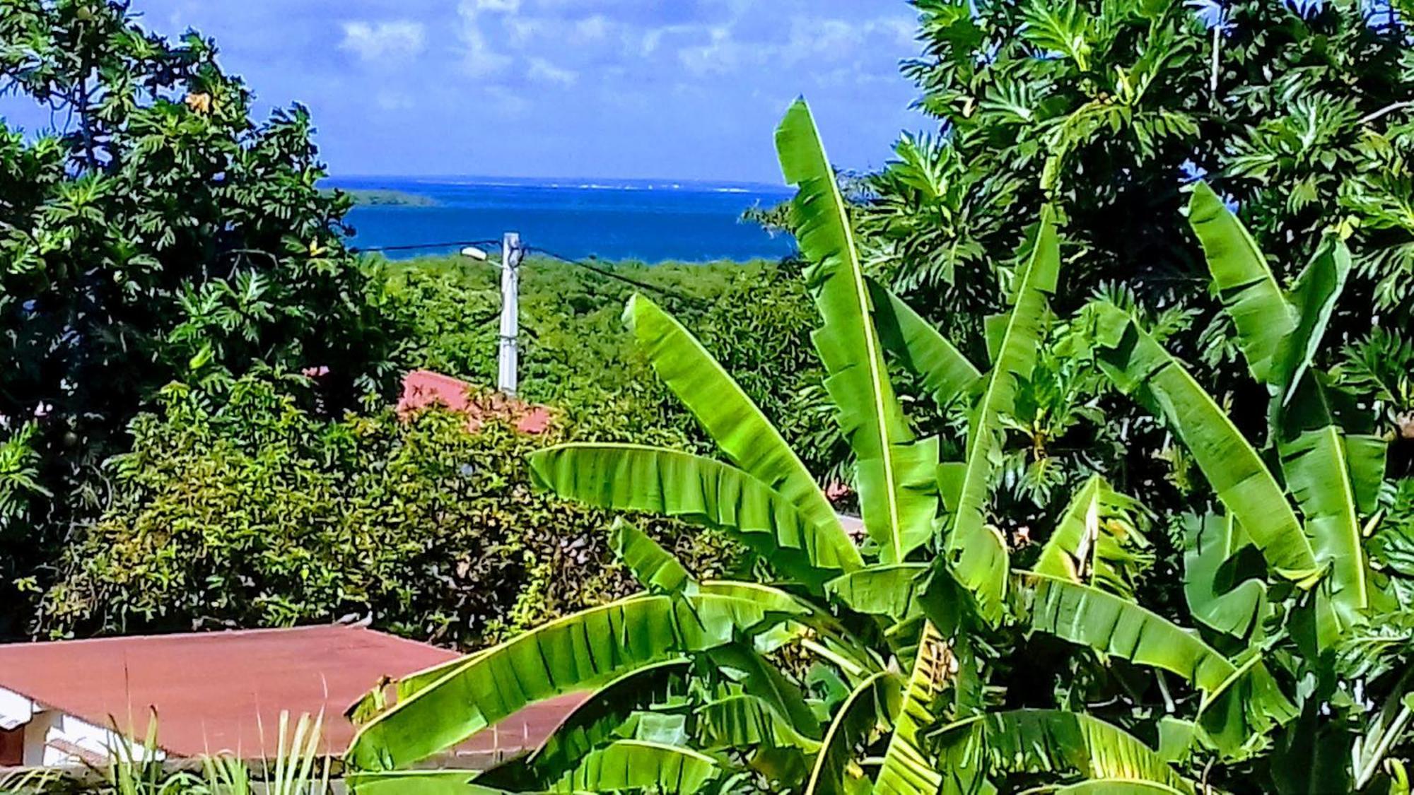 Ilet Blanc Villa Sainte-Rose Kültér fotó